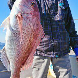 ブルースフィッシングサービス 釣果
