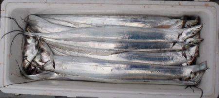 フィッシング キッタカ 釣果