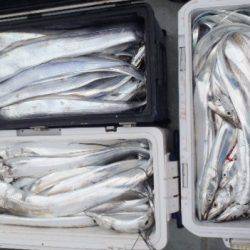 フィッシング キッタカ 釣果