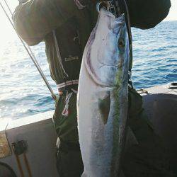 ブルースフィッシングサービス 釣果