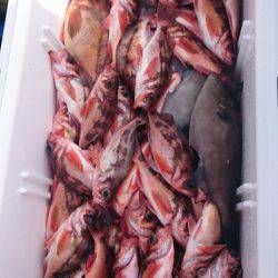 海龍丸（石川） 釣果