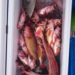 海龍丸（石川） 釣果