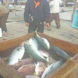海の釣堀 海恵 釣果