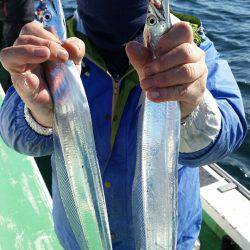 金沢八景鴨下丸 釣果