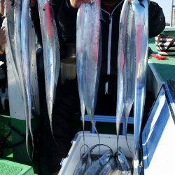 金沢八景鴨下丸 釣果