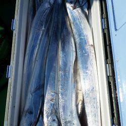 金沢八景鴨下丸 釣果