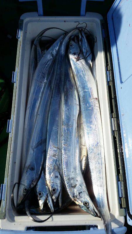 金沢八景鴨下丸 釣果