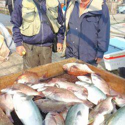 海の釣堀 海恵 釣果