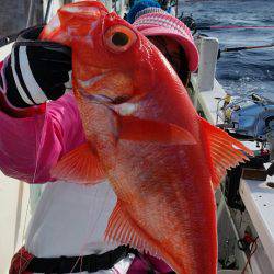 金沢八景鴨下丸 釣果