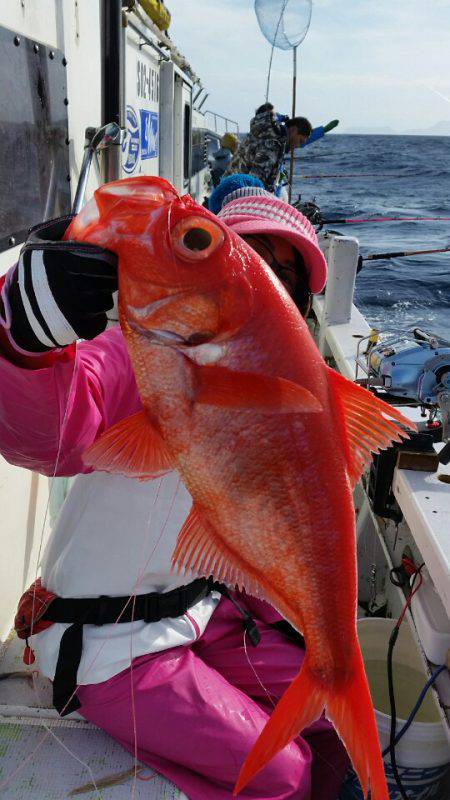 金沢八景鴨下丸 釣果