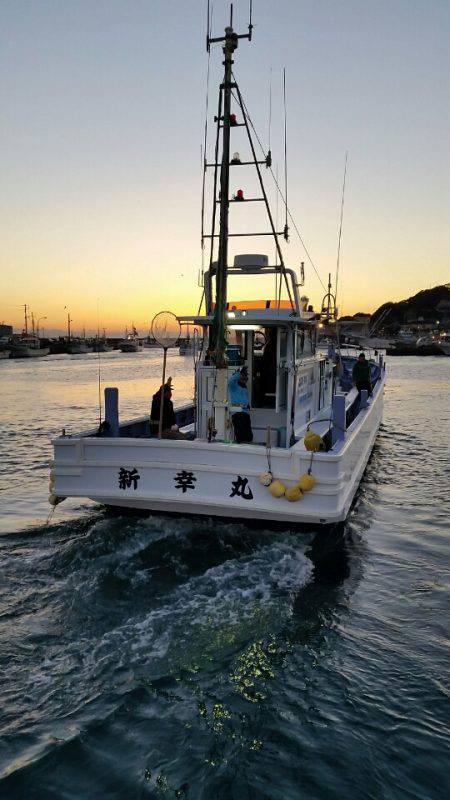 新幸丸 釣果