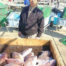 海の釣堀 海恵 釣果