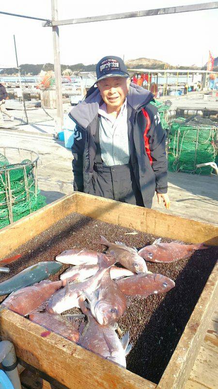 海の釣堀 海恵 釣果