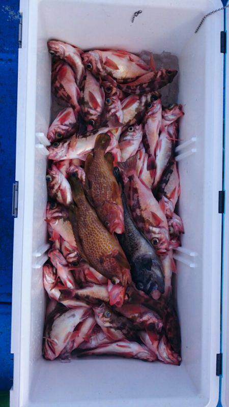 海龍丸（石川） 釣果