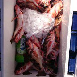 海龍丸（石川） 釣果