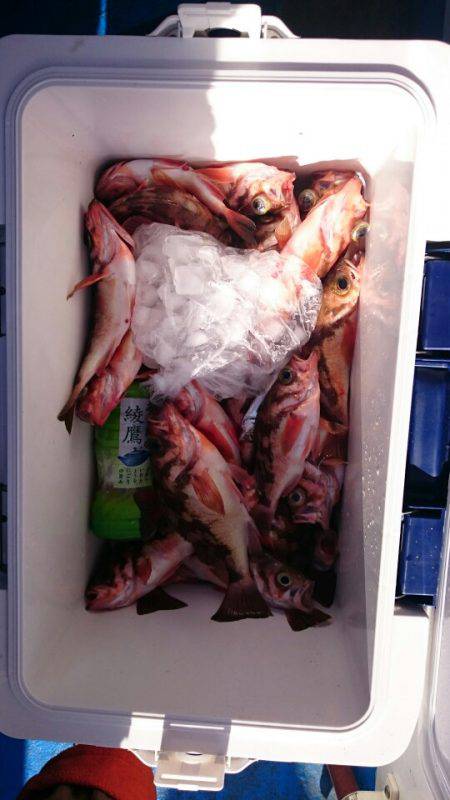 海龍丸（石川） 釣果