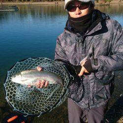 加賀フィッシングエリア 釣果