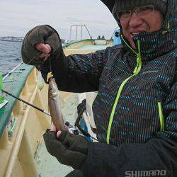 島きち丸 釣果