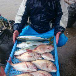 第三共栄丸 釣果