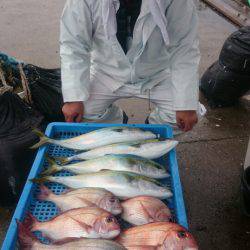 第三共栄丸 釣果