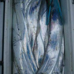 サンマリン 釣果