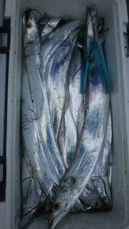 サンマリン 釣果