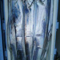 サンマリン 釣果