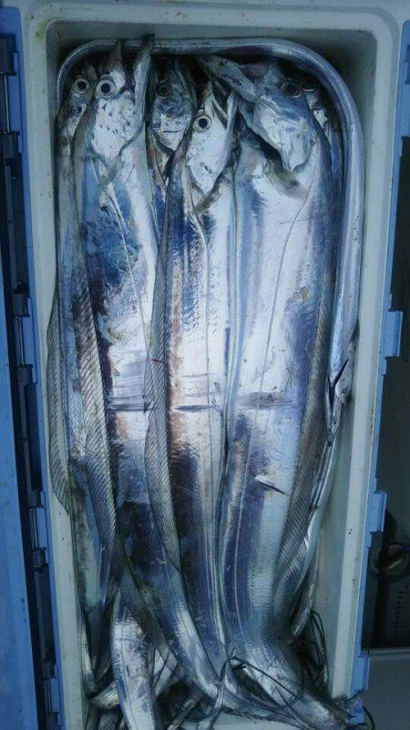 サンマリン 釣果