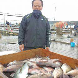 海の釣堀 海恵 釣果