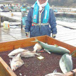 海の釣堀 海恵 釣果