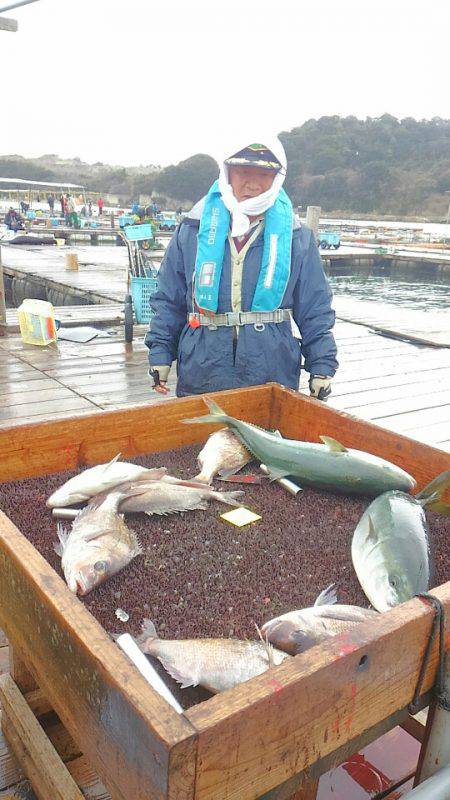 海の釣堀 海恵 釣果