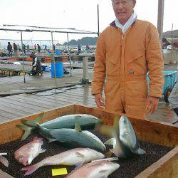 海の釣堀 海恵 釣果