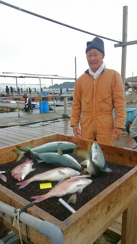 海の釣堀 海恵 釣果