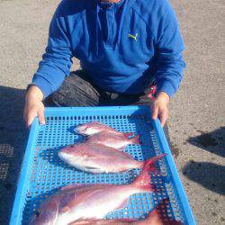 第三共栄丸 釣果