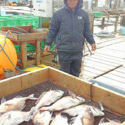海の釣堀 海恵 釣果