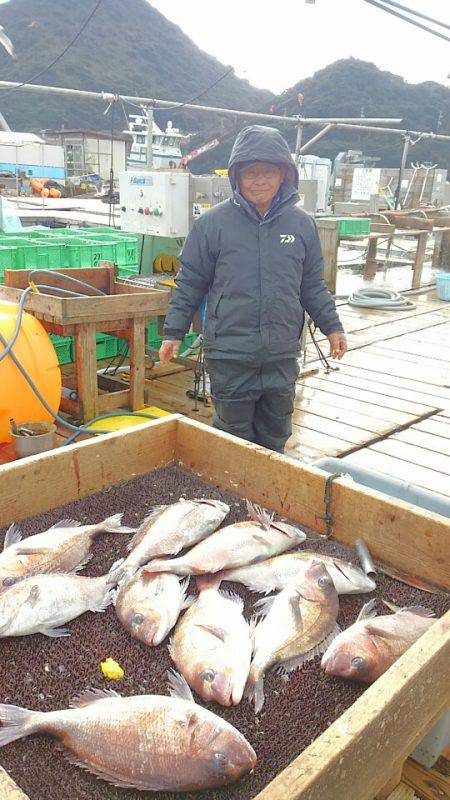 海の釣堀 海恵 釣果
