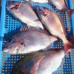 第三共栄丸 釣果