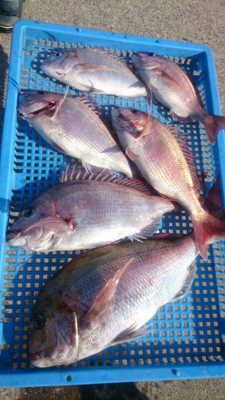 第三共栄丸 釣果