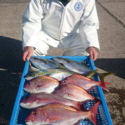 第三共栄丸 釣果