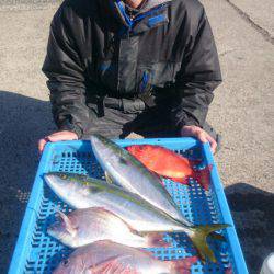 第三共栄丸 釣果