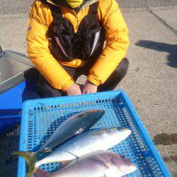 第三共栄丸 釣果