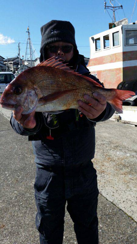 富士丸 釣果
