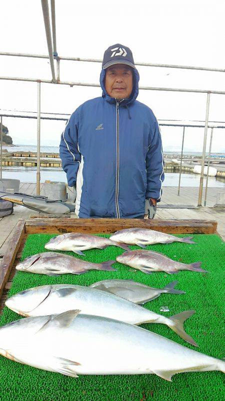 海の釣堀 海恵 釣果
