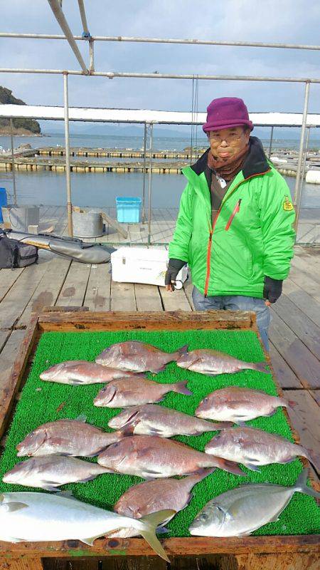 海の釣堀 海恵 釣果