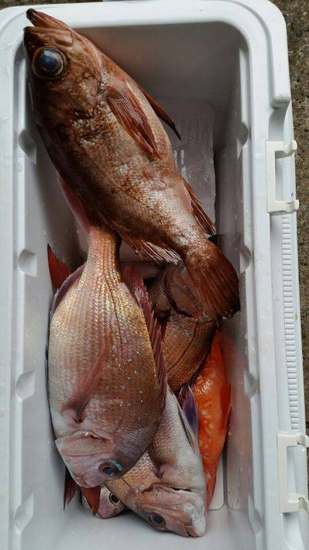 新幸丸 釣果