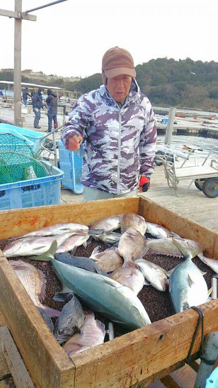 海の釣堀 海恵 釣果