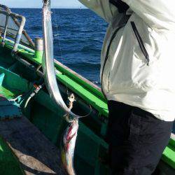 小島丸 釣果