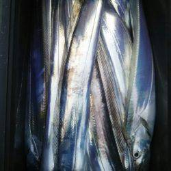 サンマリン 釣果