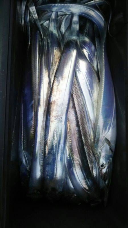 サンマリン 釣果