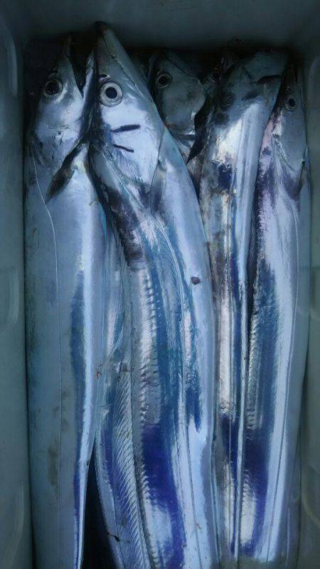 サンマリン 釣果